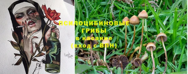 таблы Киреевск