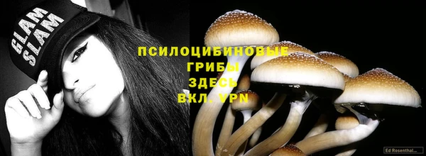 ПСИЛОЦИБИНОВЫЕ ГРИБЫ Коряжма