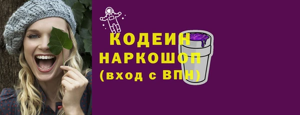 крисы Корсаков