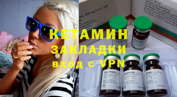 крисы Корсаков